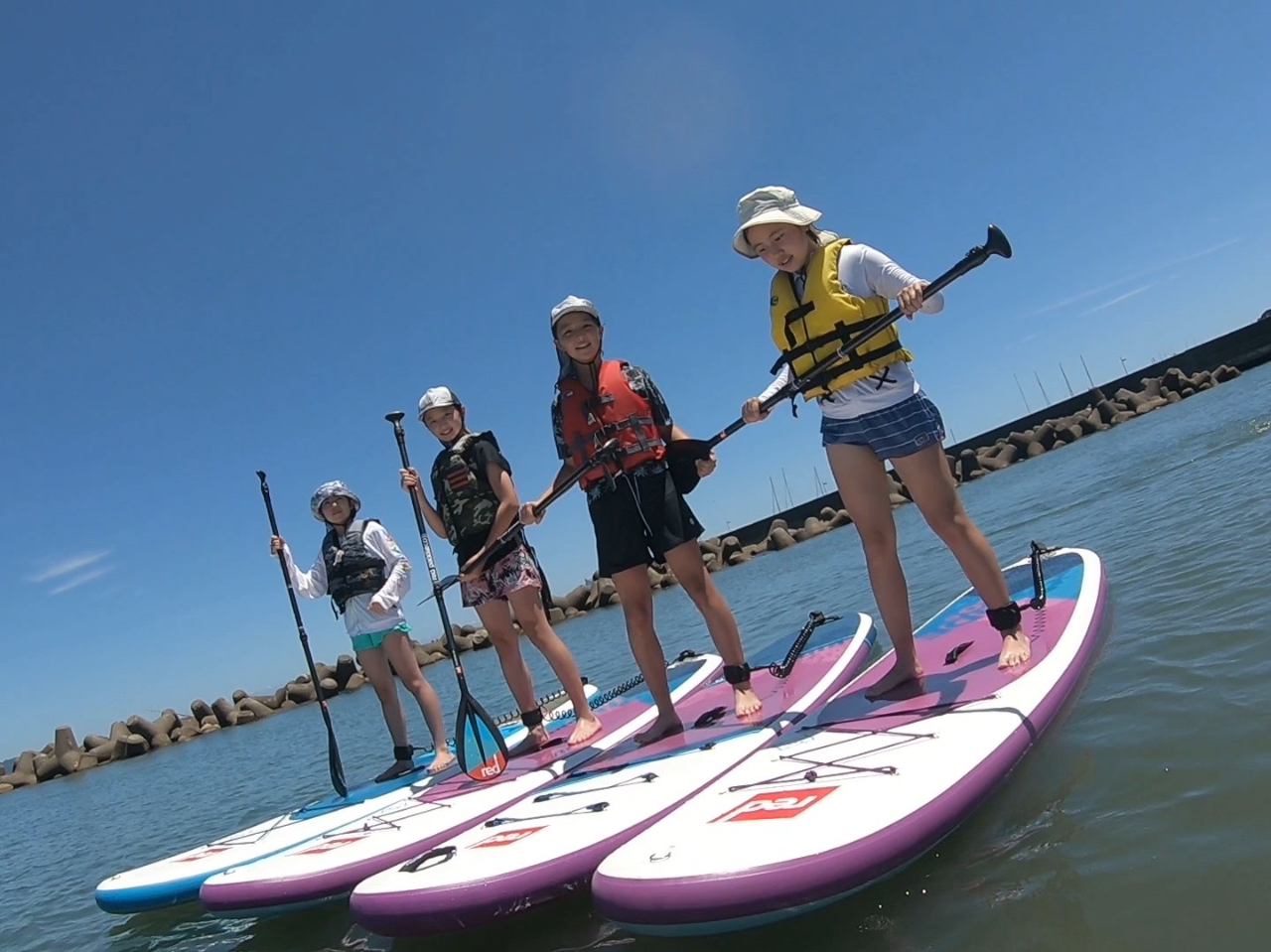 【鴨川・SUPクルージング体験 愛犬もOK!】SUPサーファーのローカルガイドが...