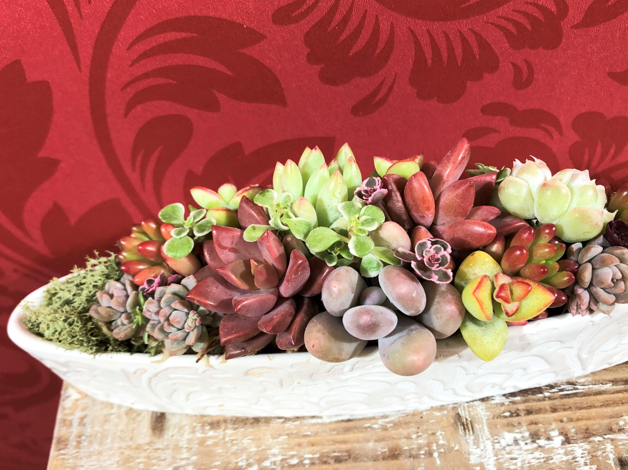 ◇多肉植物を使って寄せ植えレッスン◇初めての方でも安心♪かわいく ◇多肉植物を使って寄せ植えレッスン◇初めての方でも安心♪かわいく