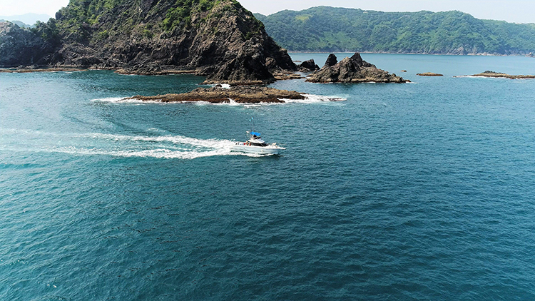 最高速度60キロのクルージングをご体感頂けます!ちょっとしたアトラクションの様なスピード感です!