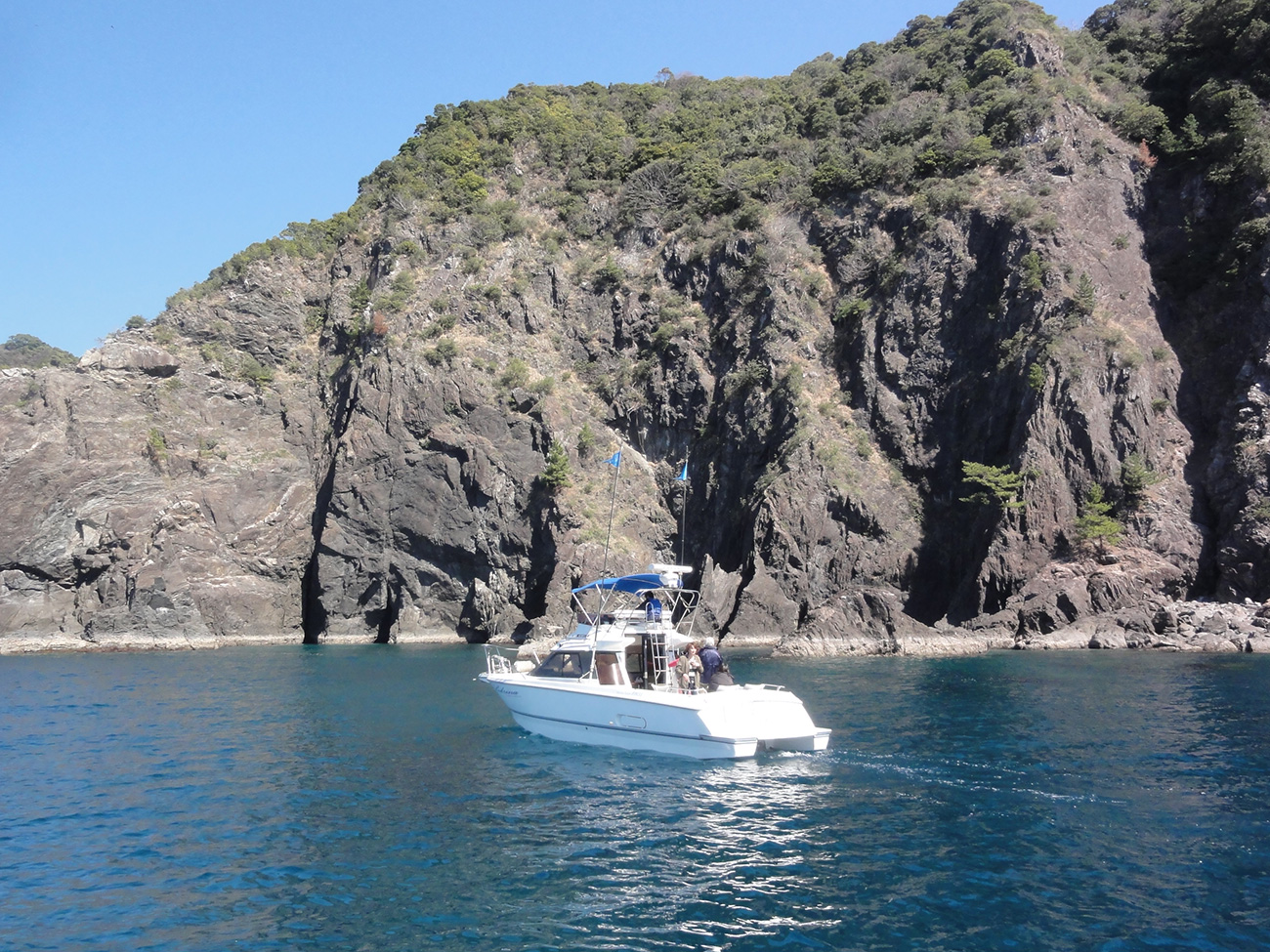 横浪半島の断崖を間近でご覧いただけます。もう少し先には、横浪メランジェという地層もあるほど、手つかずの自然がすぐそこに。