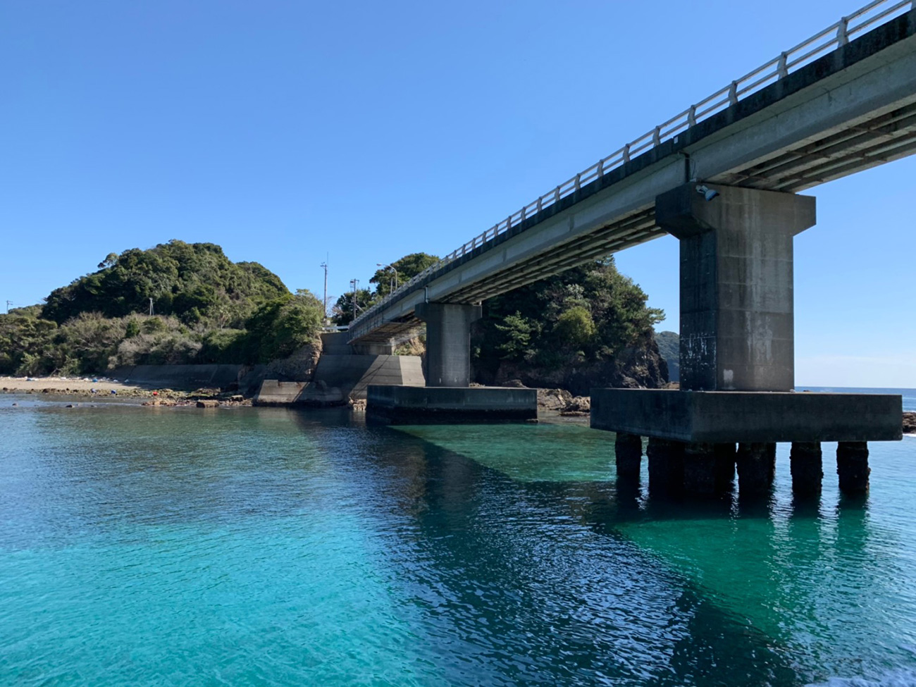 中の島大橋の下は、思いがけない海の色に出会えます。