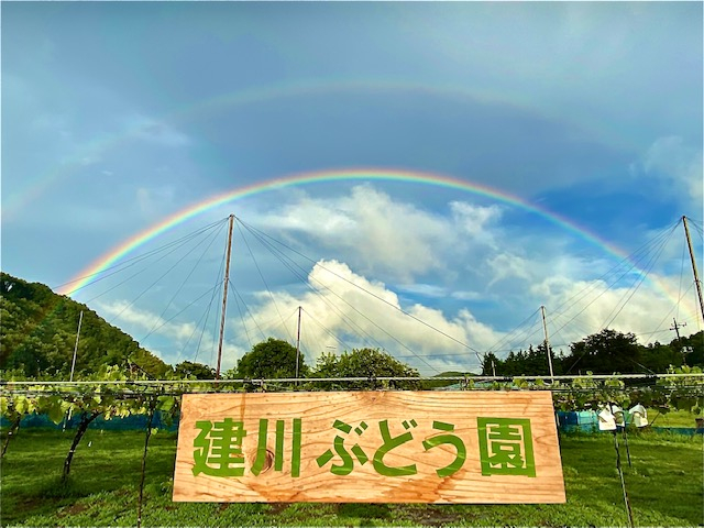 VNȋCƂꂢȐBɂ͑邪܂B邱Ƃ邩