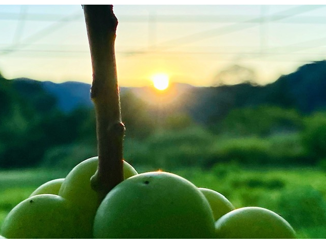 �����̎R�X���痬��o�閼���ň�����V�N�ȂԂǂ�