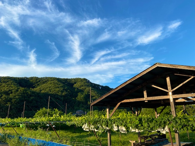 ���񂾋�C�A��̂��ƂԂǂ���肪�y���߂܂��B