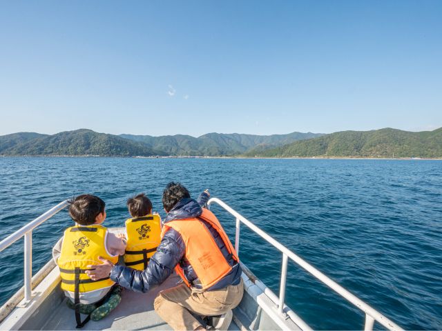 マッコウクジラに出会えるかも!?