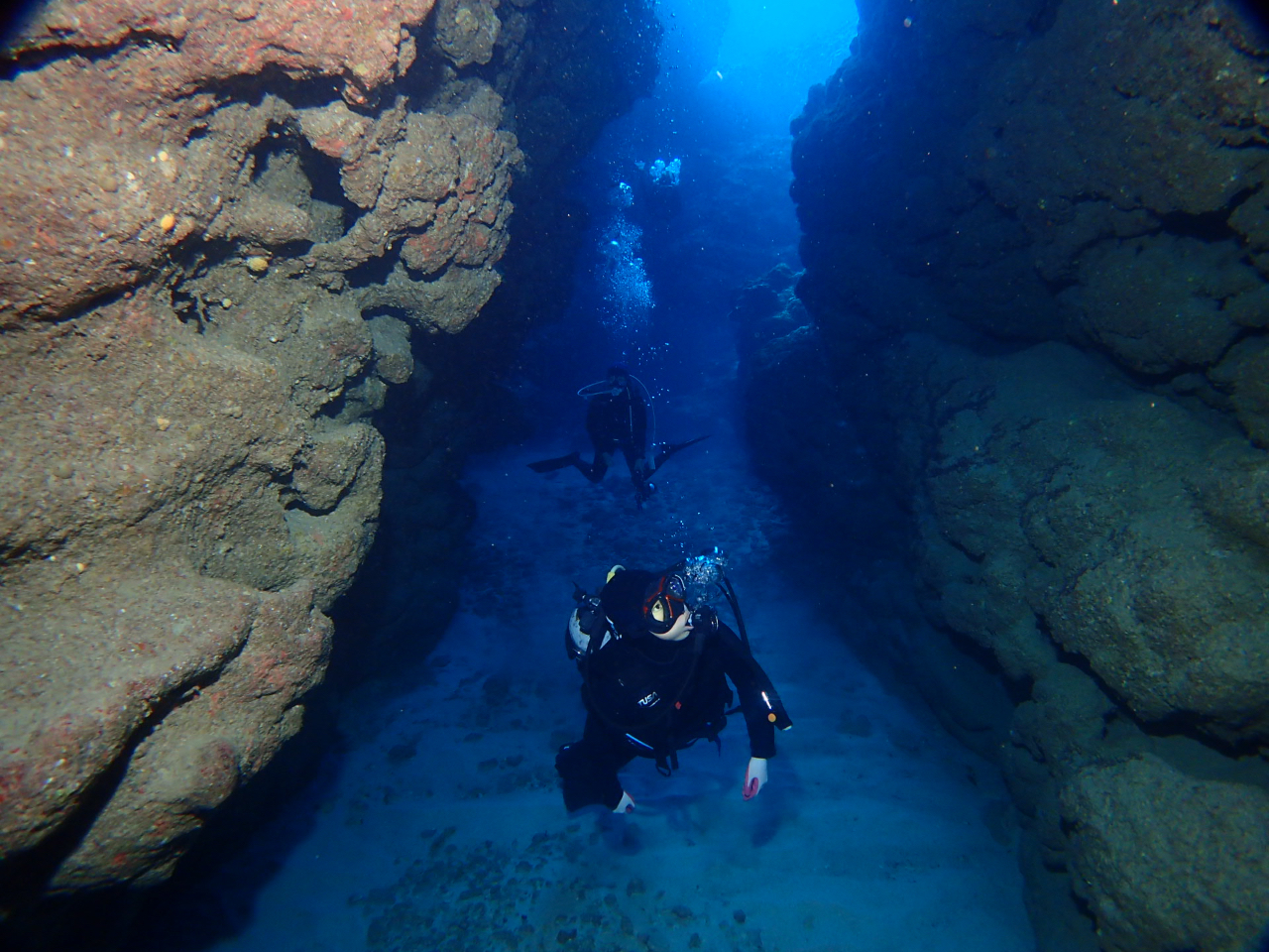 沖縄全域 送迎ok 近海２ボートファンダイビング 東西南北 沖縄本島の海をご案内 半日or終日 初心者大歓迎 到着日ok Ds Natura じゃらん遊び体験