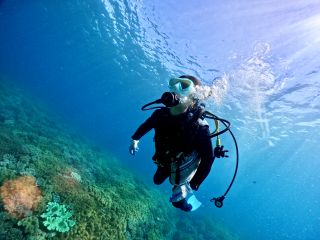 西海岸・北谷沖エリア/流れもなくのんびり潜れるので、初心者からマクロ派ダイバーさんはぜひ♪1日4便出航なので、到着後などスケジュールに柔軟に対応可能!