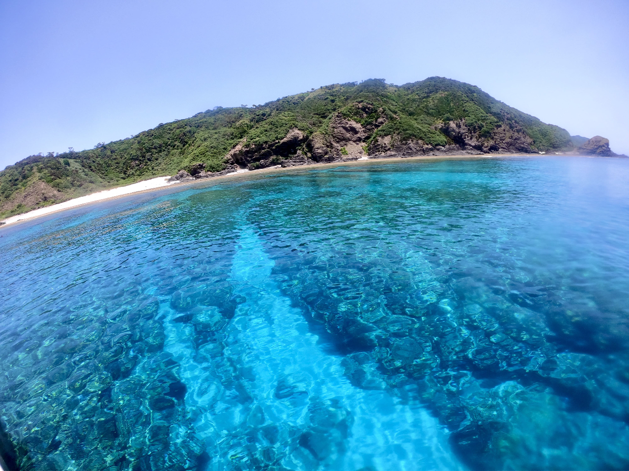 ����C���ڂ��䂩���A�P���}�u���[�̐��E�ցE�E