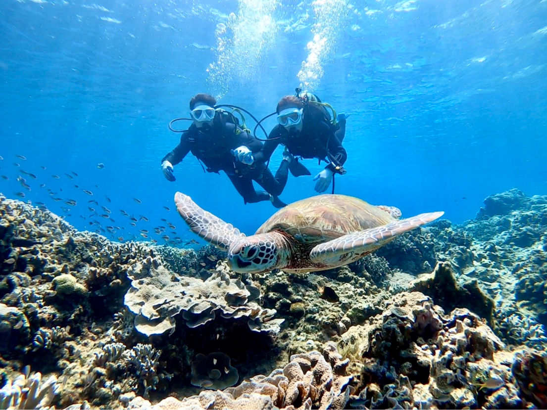 ���v�w�ŁA���Ƒ��ŁA�F�B���m�ŁE�E�c�ǊԂ̊C�ŖY����Ȃ��v���o�Â��聙