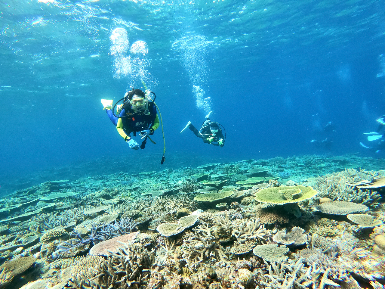 󐣂ɍLTSɖ|CgBlXȌiFƏo̂cǊԂ̊CB