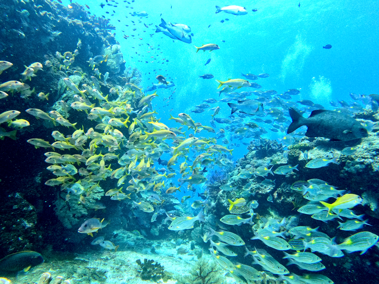 慶良間ブルー専用 じゃらん限定】那覇市内送迎付き＆バナナボート無料！慶良間