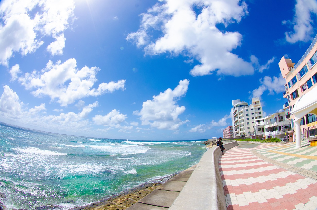 kJ̋{C݂̃|CgցI`̋߂ɂ̓AJrbW≫ꂻΉAJtFȂǂ̂ŁA_CrO̊όIXXłB