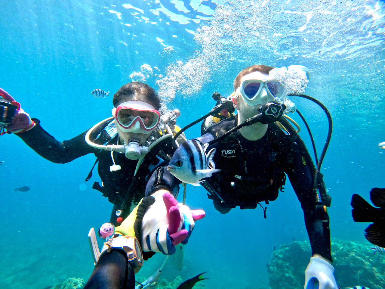 CXgN^[T|[gĂ̂ŁACtΊC̒EEI