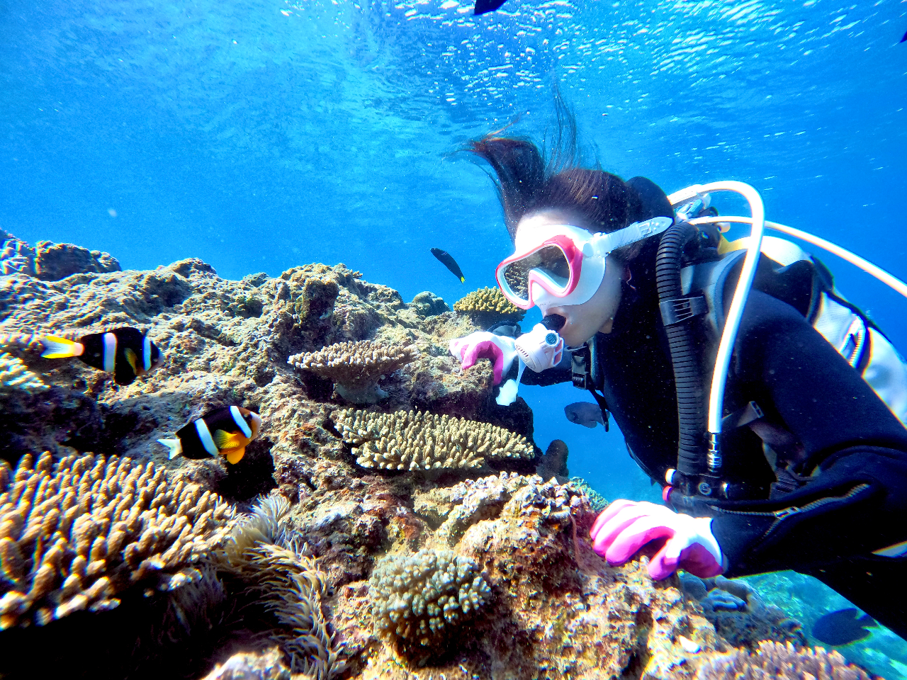 qAƕsvcȎqAȐƏo1lł̂Q劽}łI