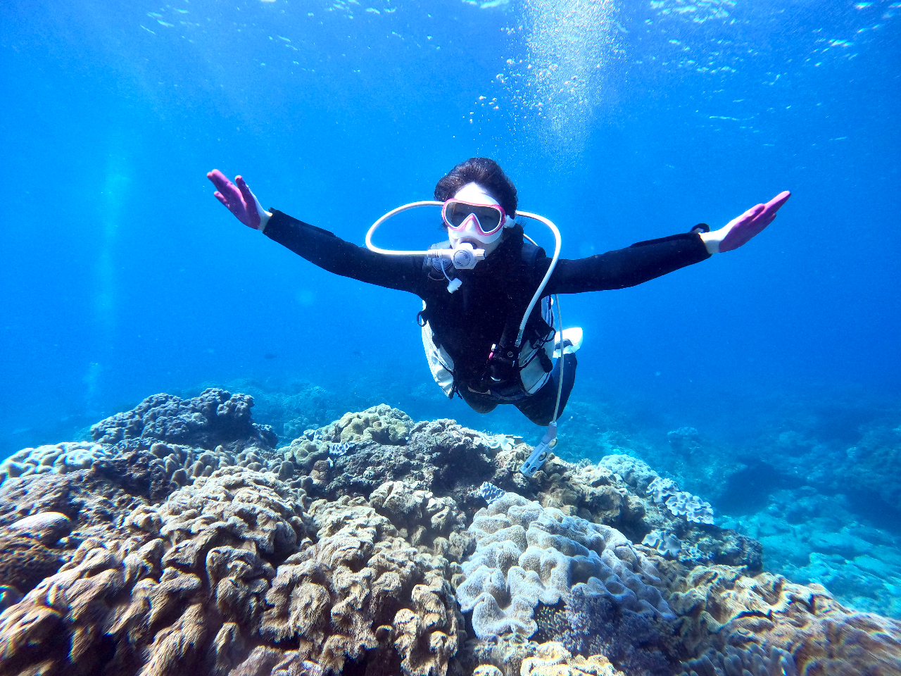 _CrO̎ʐ^⓮͂̏Ńv[g