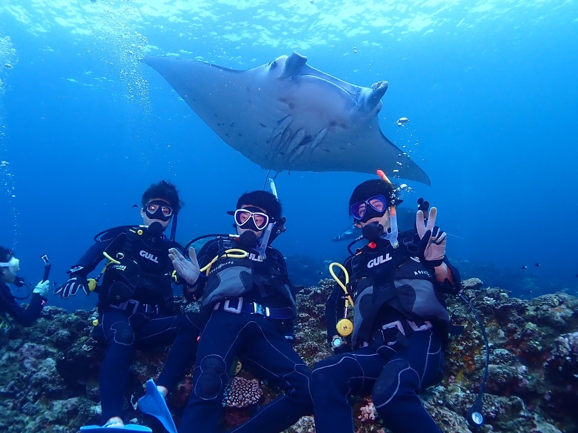 運が良ければマンタにも会えるかも!?当日の海況が良いことを祈ります!