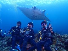 運が良ければマンタにも会えるかも!?当日の海況が良いことを祈ります!