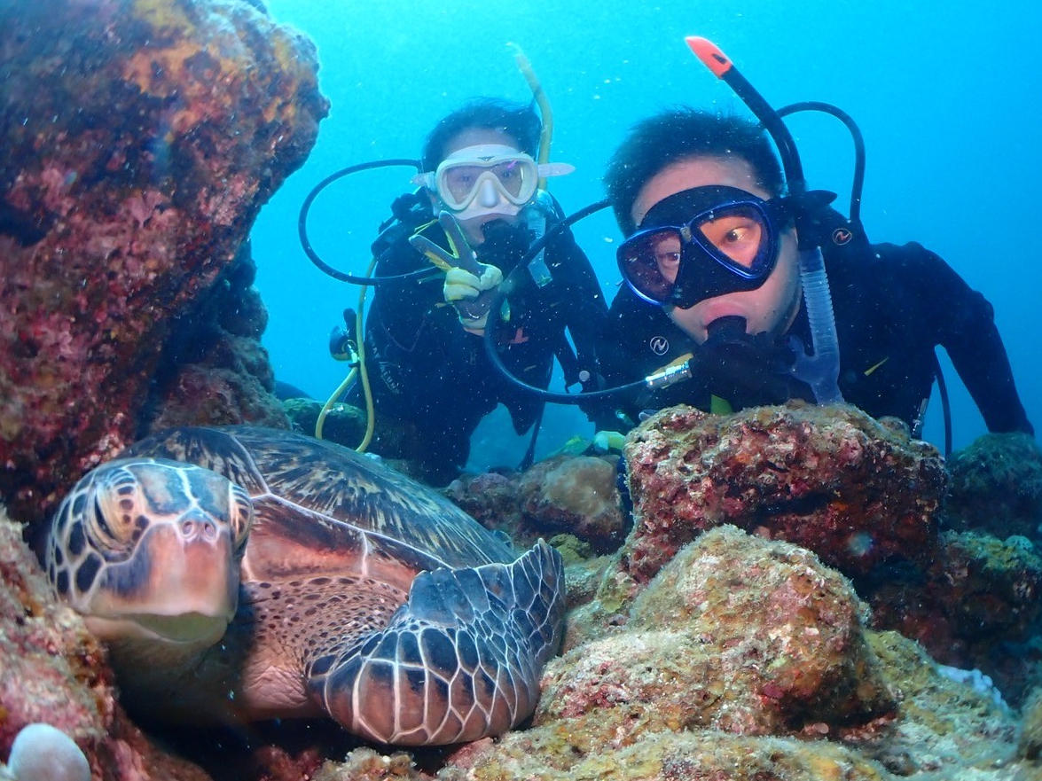 アオウミガメとの遭遇率も高いので。2ショット撮影も!?