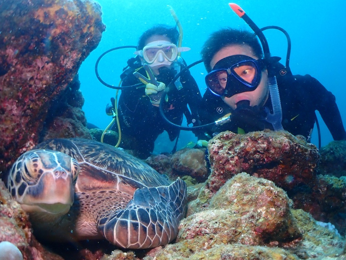 運が良ければマンタやカメにも会えるかも!? 当日の海況が良いことを祈ります!