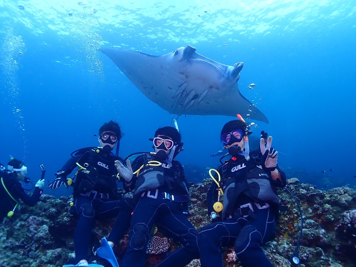 運が良ければマンタやカメにも会えるかも!? 当日の海況が良いことを祈ります!