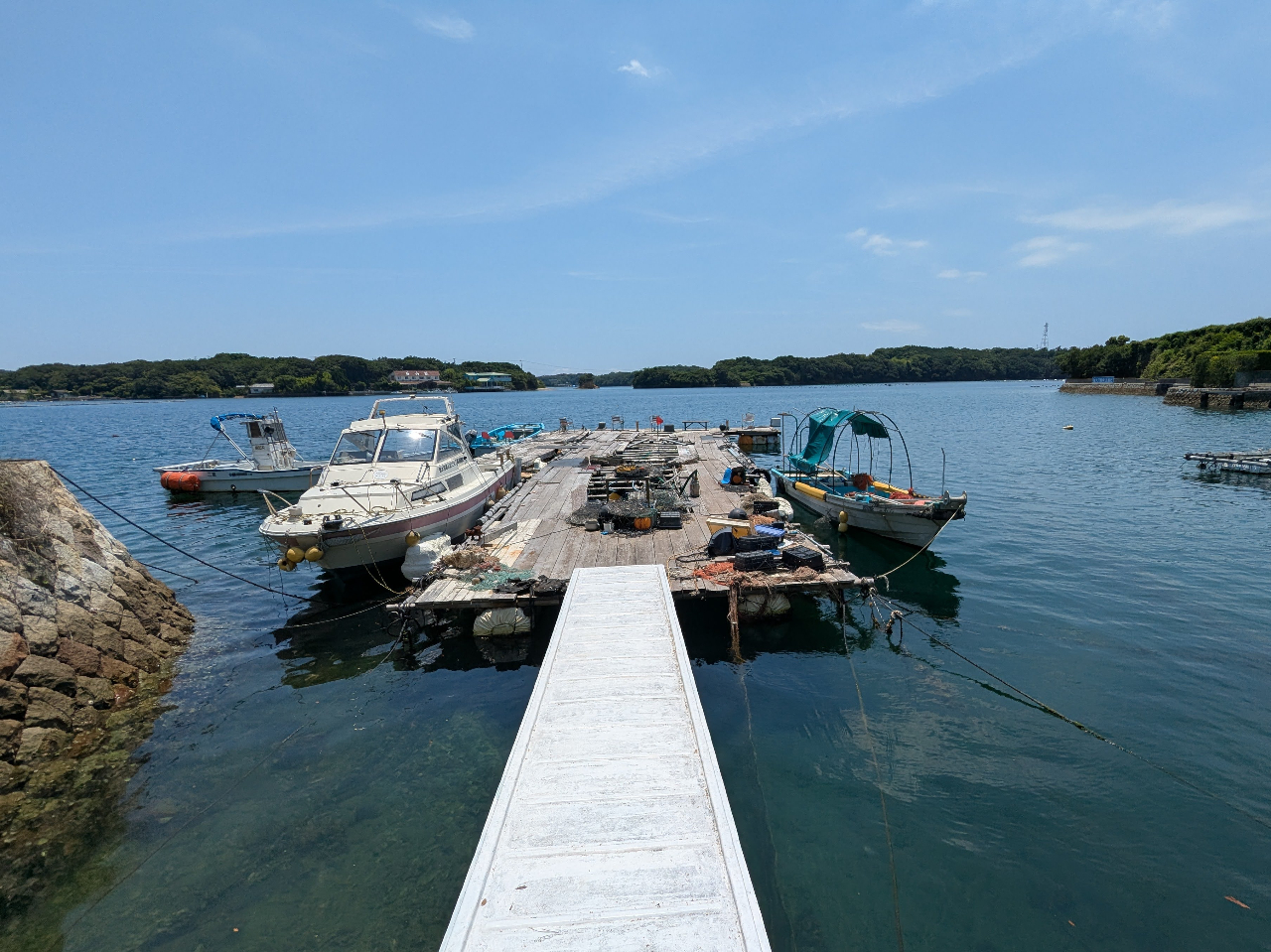 ��������o�q���܂��B