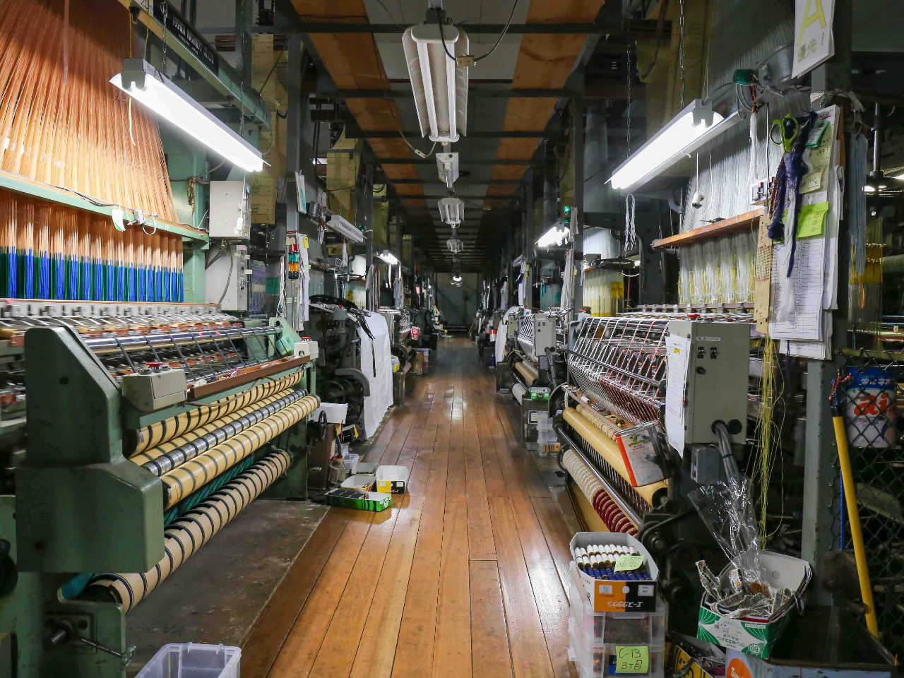 `EZp̓`H̗lqBg܂ꂽ̂D@͑złȂA킢{ɏo܂I