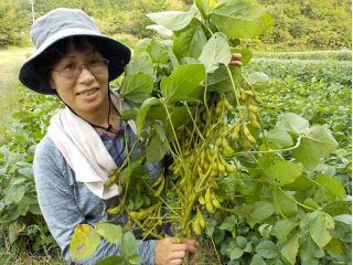 枝豆収穫体験 おひとり様3株収穫 切り取りしてお持ち帰り でんでん特製農産物のお土産付き 丹波篠山 伝田農産 じゃらん遊び体験 枝豆収穫体験 おひとり様3株収穫 切り取りしてお持ち帰り でんでん特製農産物のお土産付き 丹波篠山 伝田農産 じゃらん遊び体験