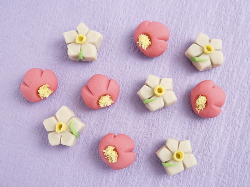 【生菓子作り体験＋お土産付き】親子や友達と！2種類の生菓子を作って包装まで♪食育...