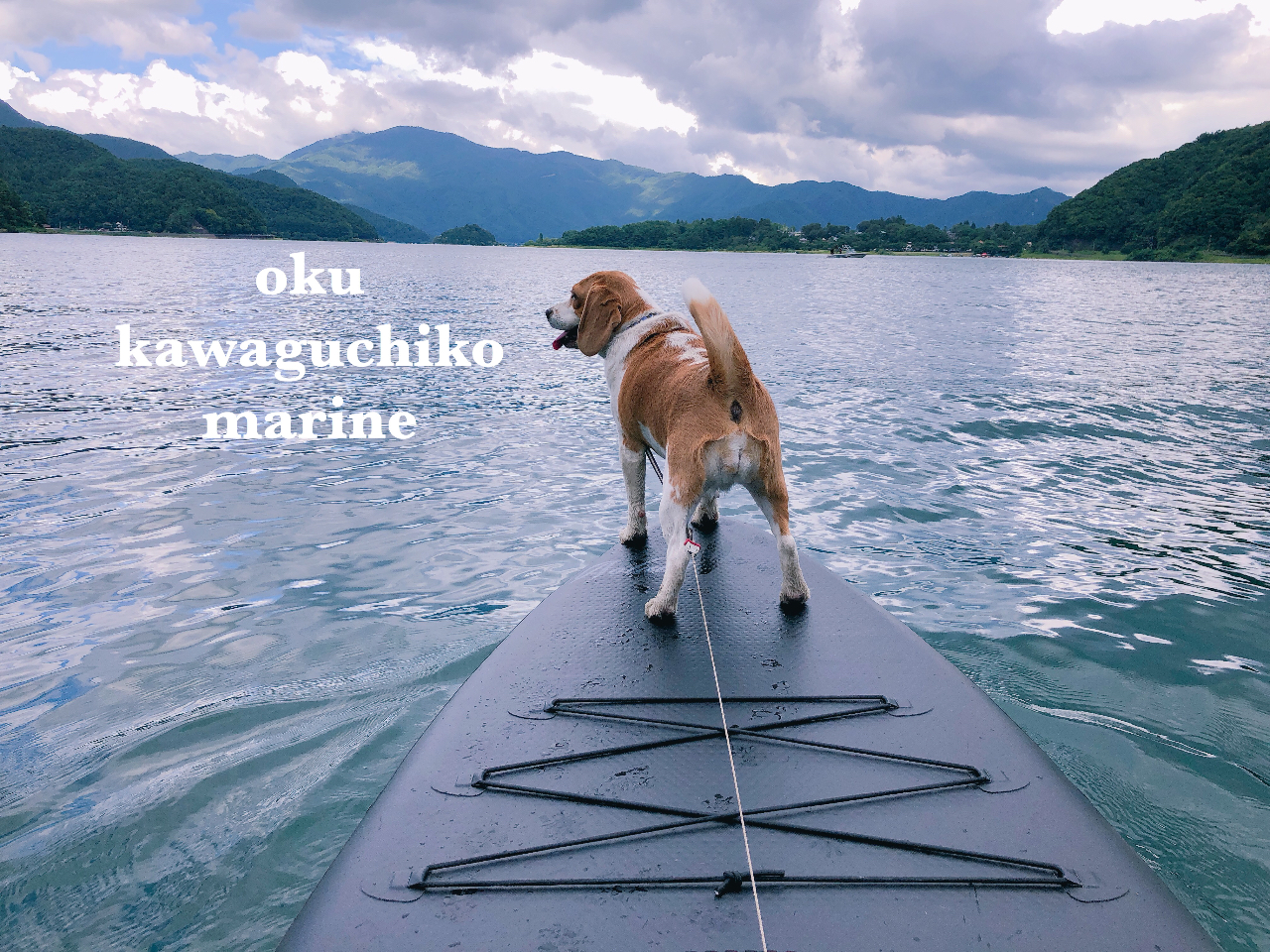 ƈꏏɑ̌o܂I@p̃CtWPbgpӂ