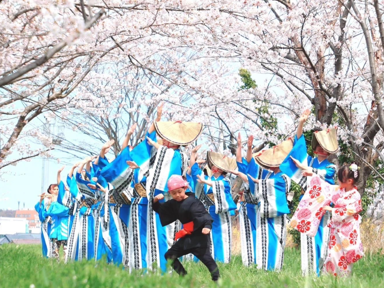 桜の下での体験会