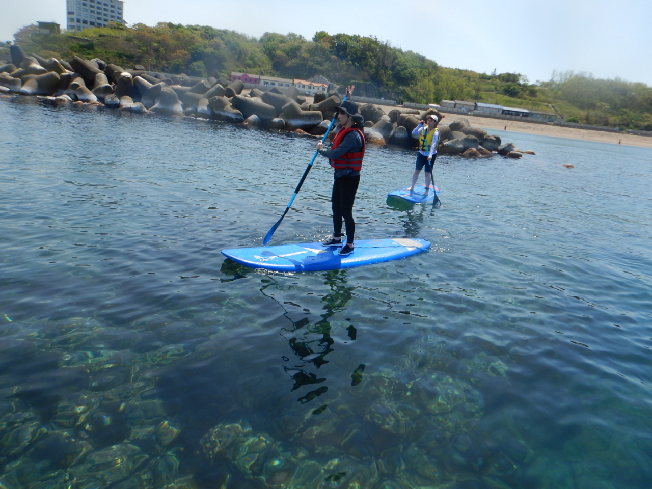 【新潟県・柏崎市・SUP体験】綺麗な海でSUP体験!