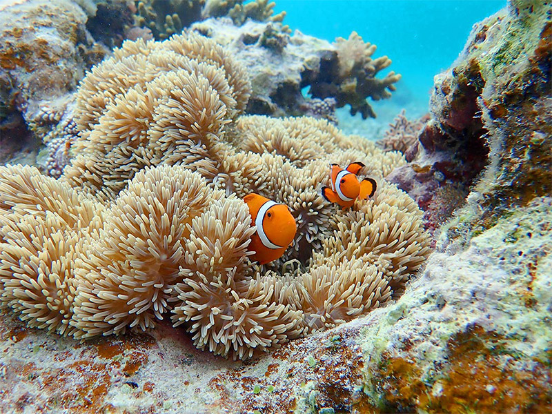 ɗǕ̊C͎t̎RIƉj܂I