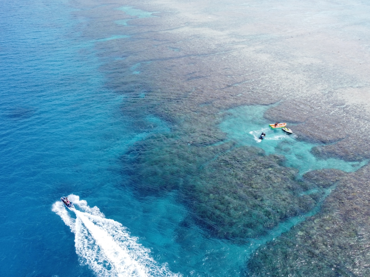 ł̃Vm[PCyɂł̂WFbgȂł