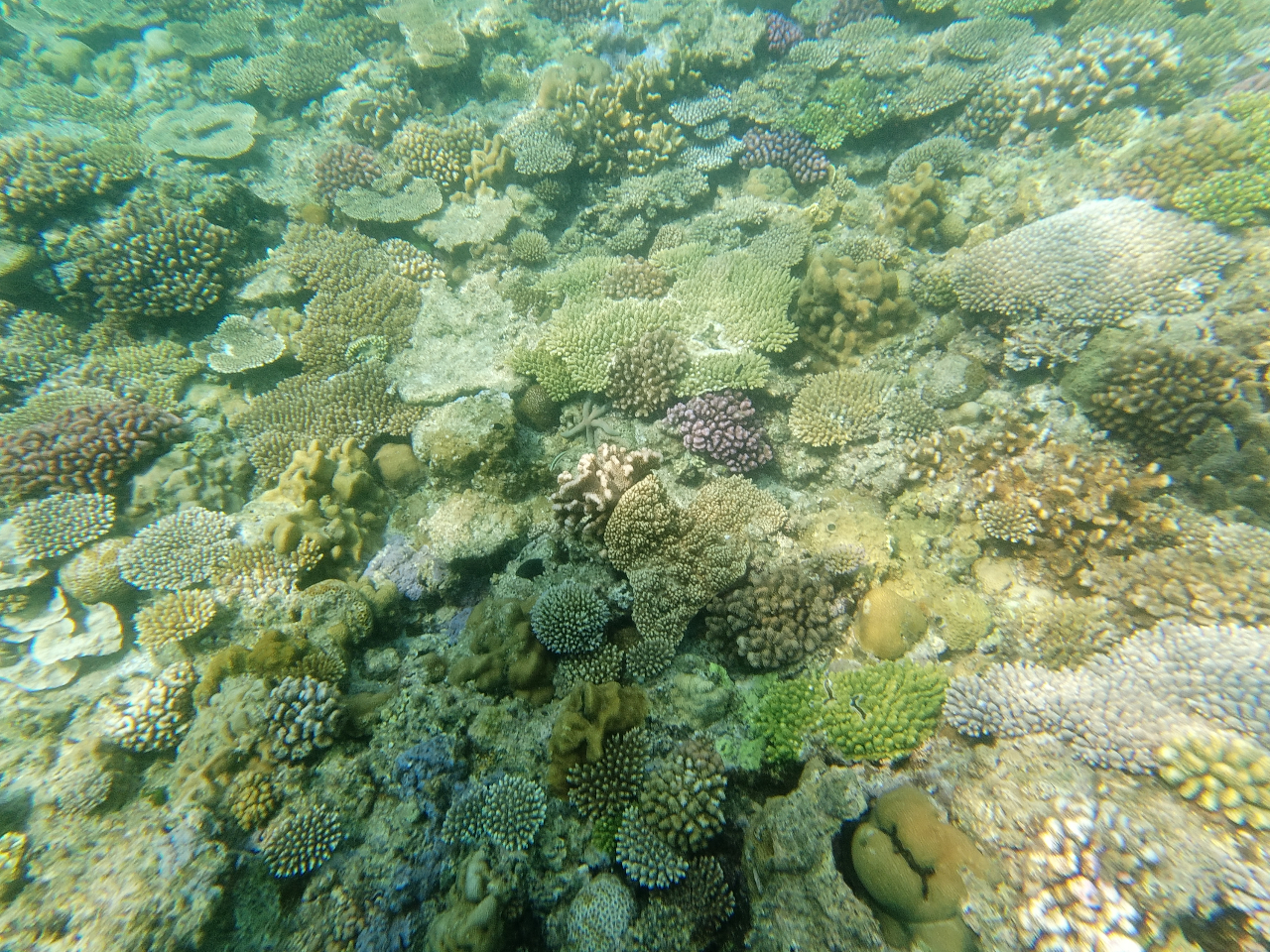 X͐[ɂ炸IWFbg̏ォł̓xɋ͂I