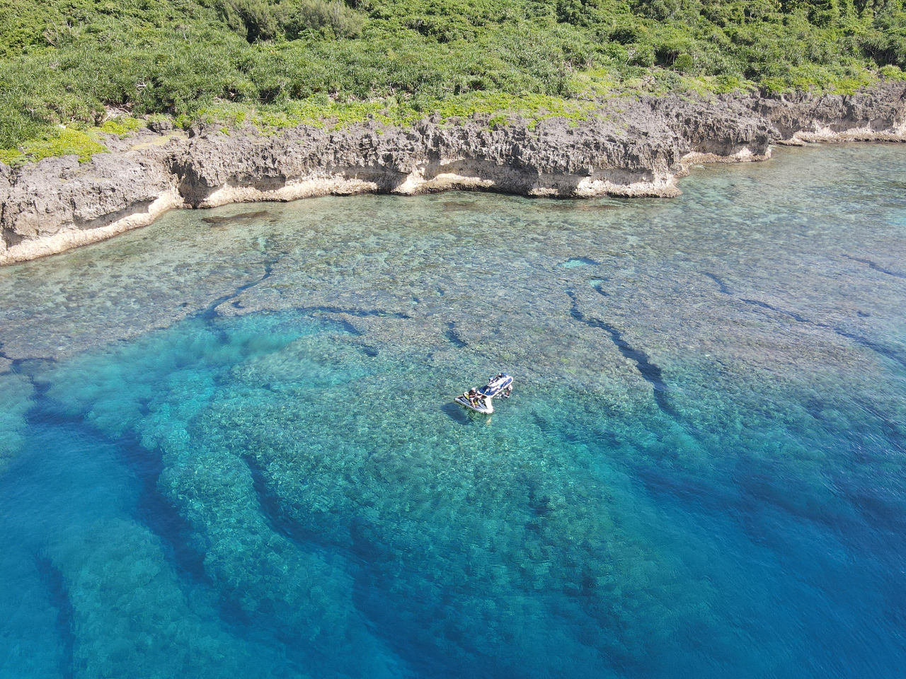 Xƃ[t̋T̐[ɃhLhLႢ܂BBB