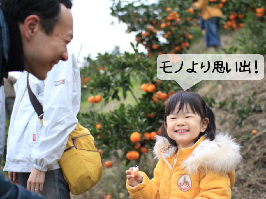 家族みんなでみかん狩り。きっとこの先もこの感動は忘れない。その笑顔を見たくてはるばる和歌山のみかん農園にやってきた。遠いけど来て良かった!最高の思い出!