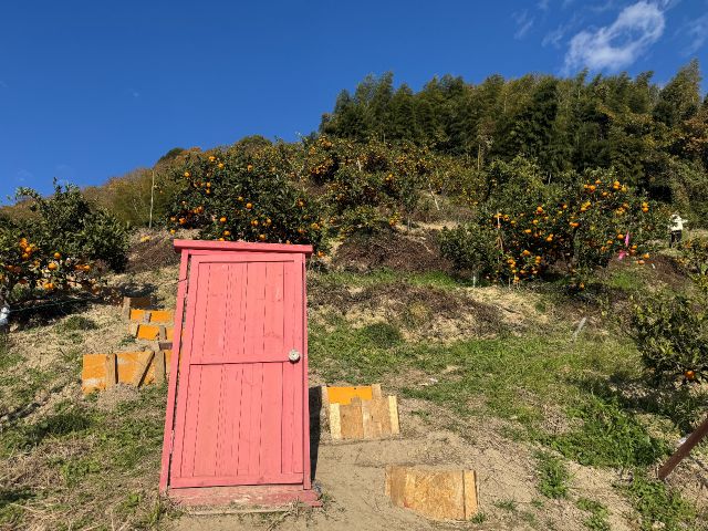 園内にはどこでもドアが…!!日当たり抜群のため「映え」写真もたくさん撮れるかも?!♪