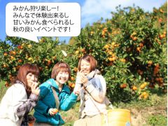 みかん狩り楽しー! みんなで体験出来るし 甘いみかん食べられるし 秋の良いイベントです!みんなで楽しいみかん狩り!