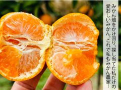 みかん畑をかけ回り、探し当てた私だけの 愛おしいみかん。これで私もみかん農家!