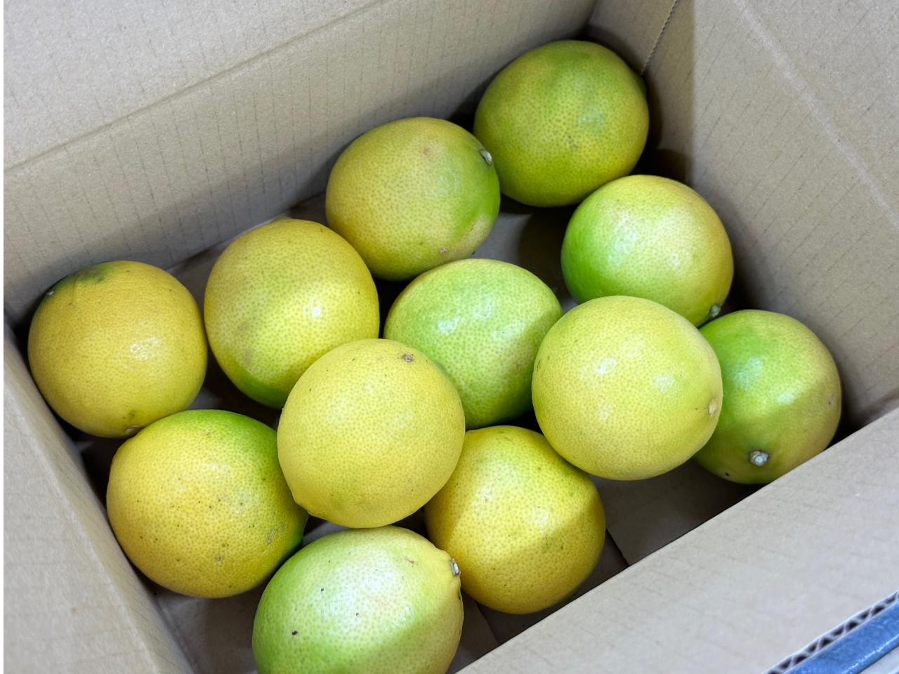 ~ɂȂƗ΂物FɂȂ܂B