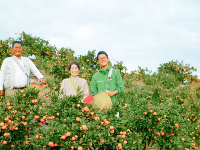 明治44年からこの地でみかんを中心に様々なフルーツを栽培、販売しております。アットホームな雰囲気でスタッフ一同、みなさまのご来園をお待ちしております!!