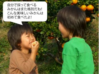 自分で採って食べる みかんはまたあ格別だね! こんな美味しいみかんは 初めて食べたよ!歴史あるおいしいみかんを思う存分召し上がれ♪