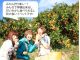 みかん狩り楽しー! みんなで体験出来るし 甘いみかん食べられるし 秋冬の良いイベントです!みんなで楽しいみかん狩り!
