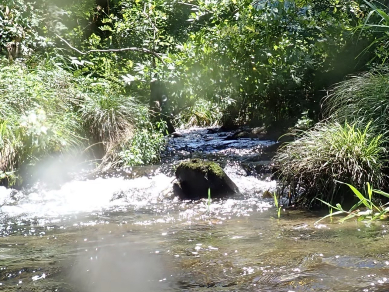 どこにいるかな?