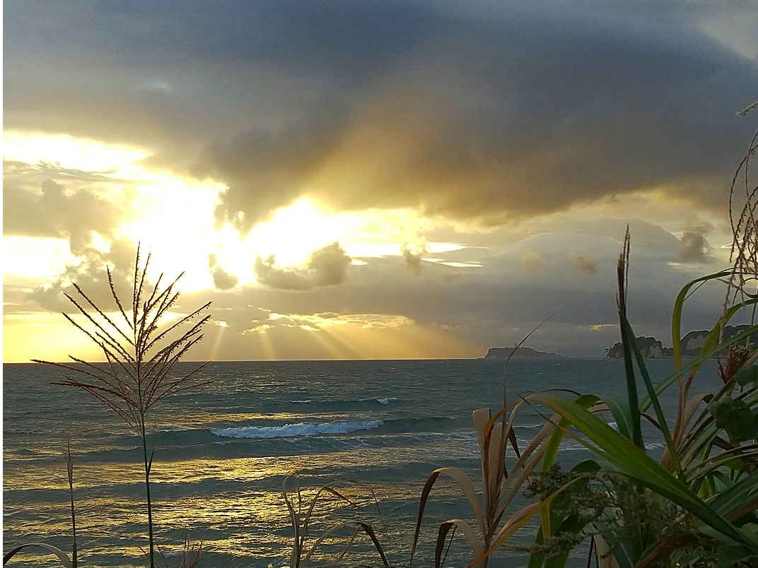 �H�̗[���B