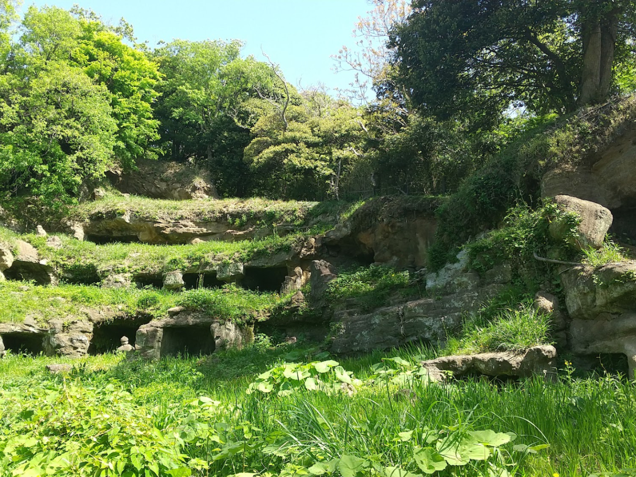 ���q�ɖ����Ղ̐��X�B�鋫�̗���