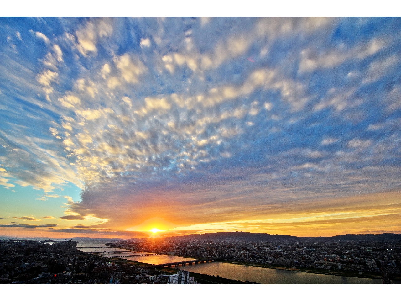 u{[zSIvɑI΂ꂽ󒆒뉀̗[IЂ