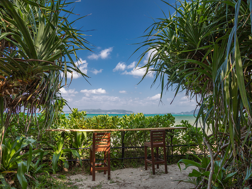 yooful K[feXł莩ƌԁB