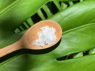 ご自身で海水を汲んで塩を作ります。