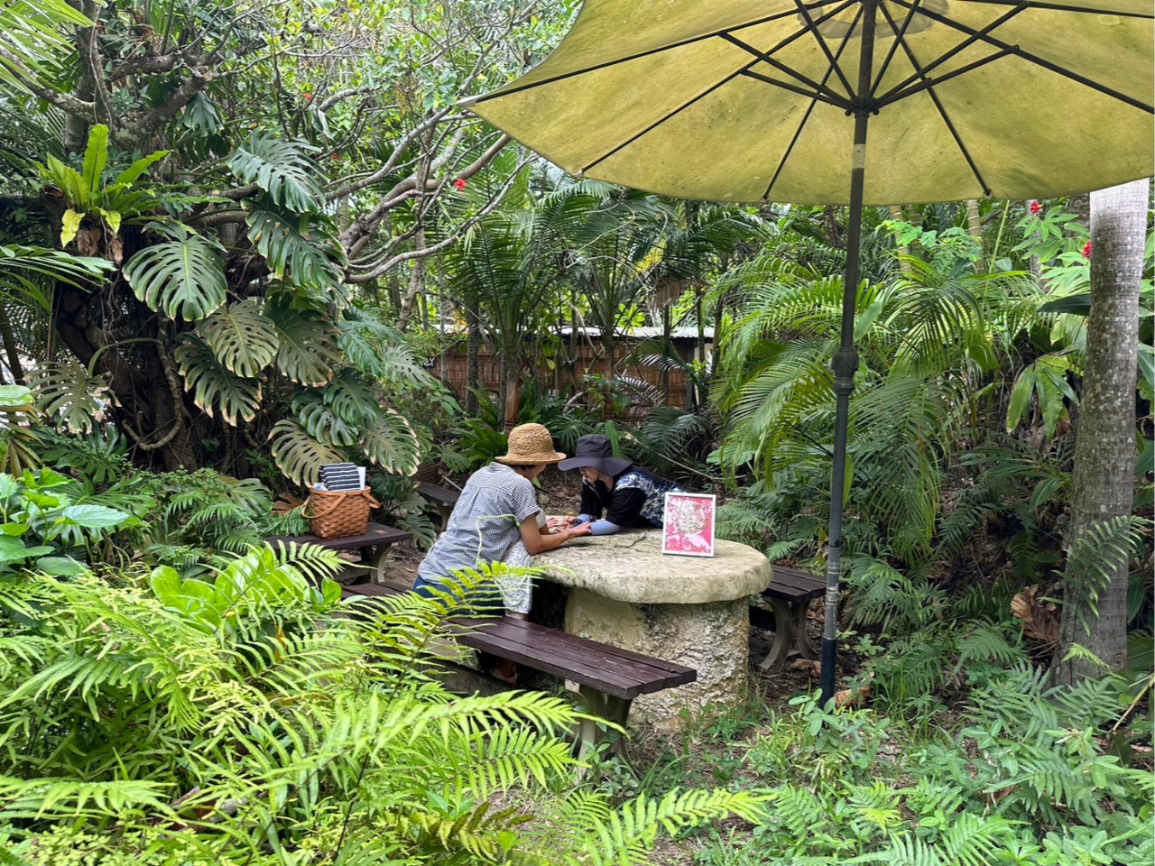 �Ί_���̎��R�ɖ�����Ȃ���Ӓ���󂯂Ă��������܂��B